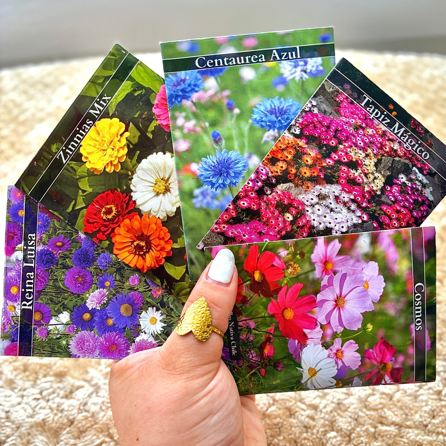 Tapiz mágico - Pack 10 sobres (100 semillas c/u)