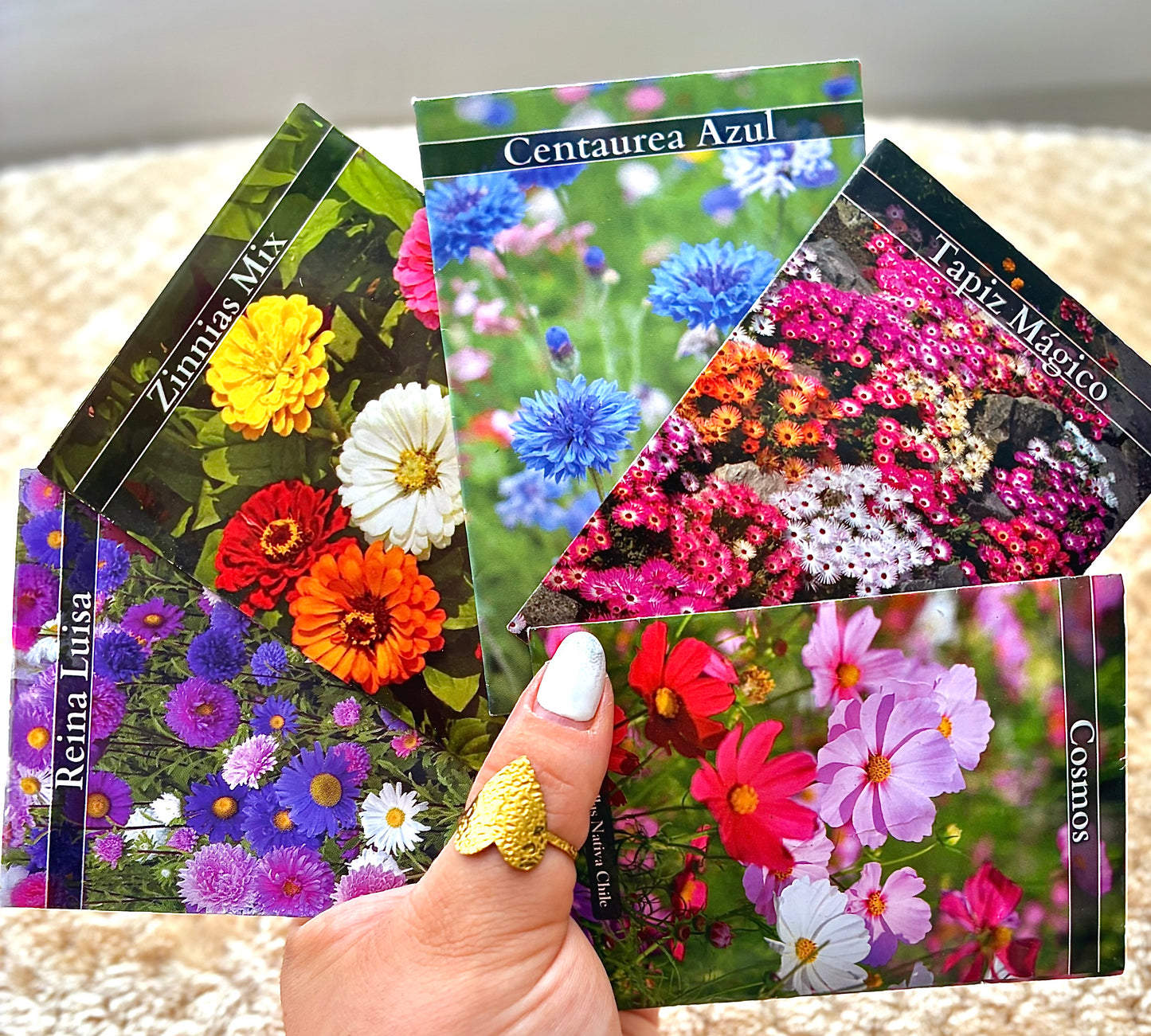 Aliso Blanco – Pack 10 sobres (50 semillas c/u)