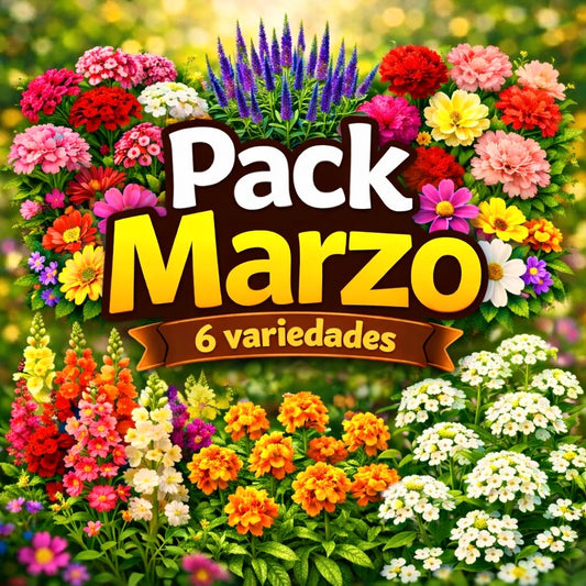 🪻Pack Marzo🌺