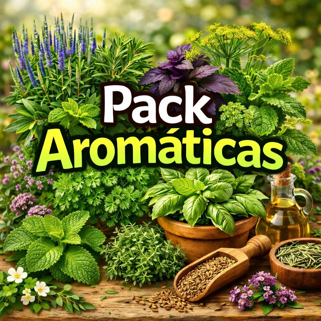 Pack Aromáticas🍃