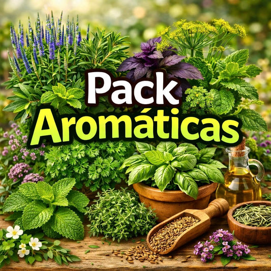 Pack Aromáticas🍃