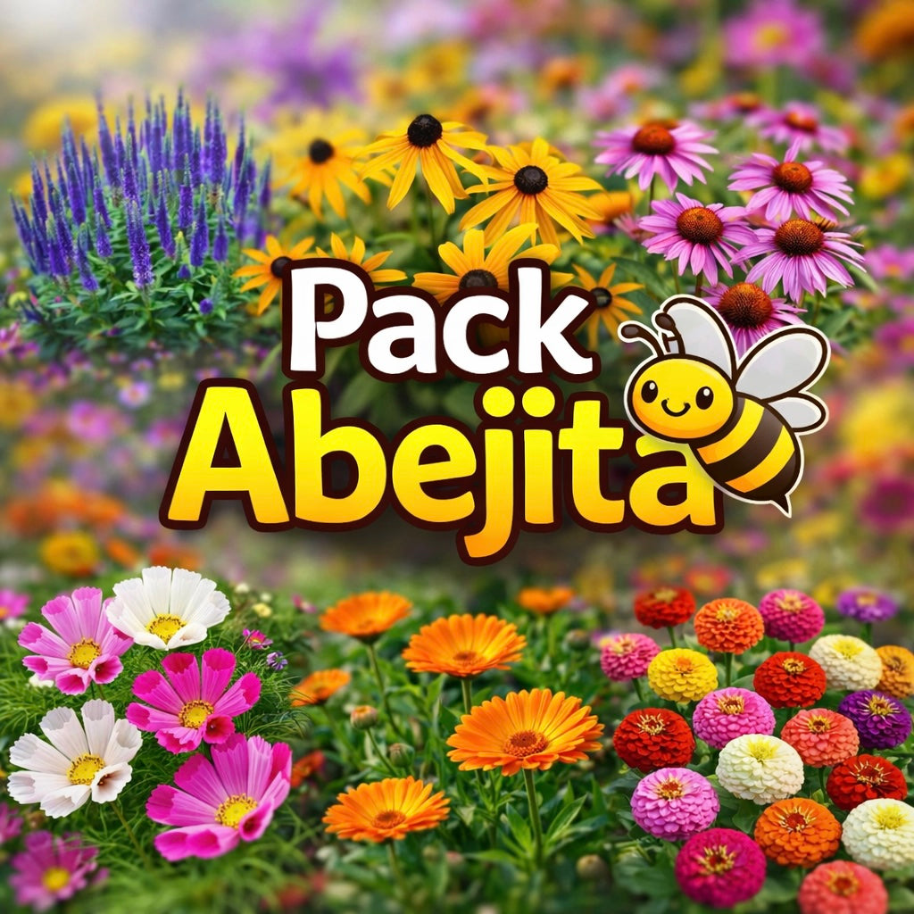 🐝 Pack Abejita 🐝