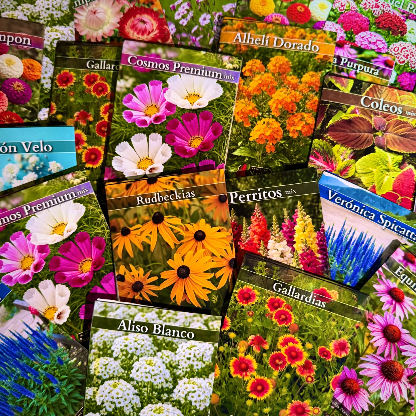 Pack Aromáticas🍃